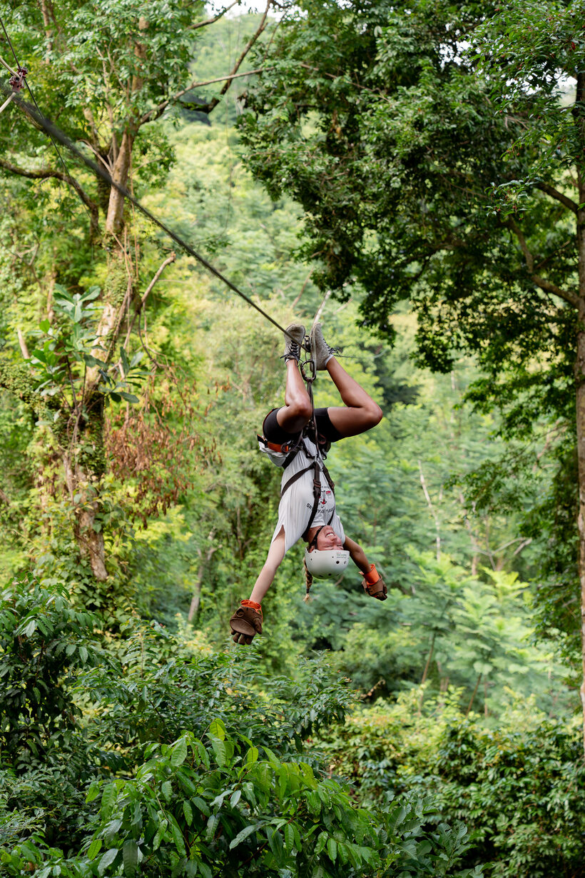 Zip line canopy tour through the rainforest